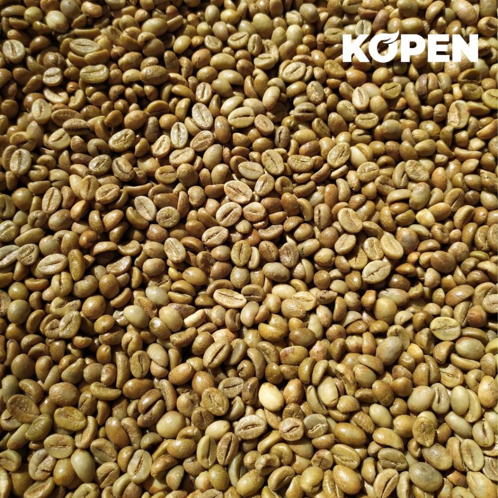 java coffee robusta supplier