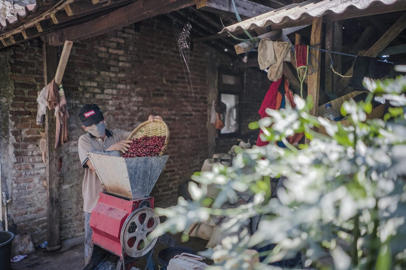 Coffee Production During Climate Change and the Impacts