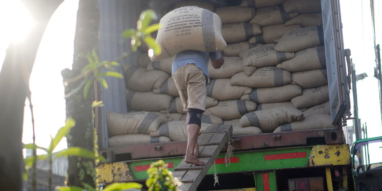 Green Coffee Beans Stuffing 90 Tons Green Coffee Beans to Egypt